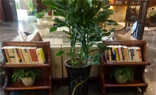 13.售楼处“流动图书站”_副本.png 13.售楼处“流动图书站”_副本.png