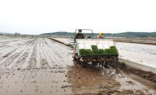 14 国信农业水稻插秧现场_副本.png 14 国信农业水稻插秧现场_副本.png